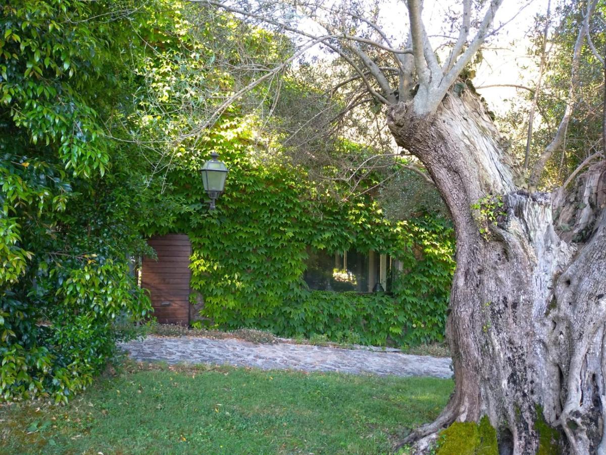 L'Agnata Di De Andre Boutique Hotel Tempio Pausania Zewnętrze zdjęcie